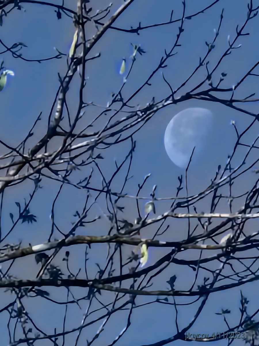 Photos météo à De Soto. Prévisions météo avec de superbes photos de jJaycox