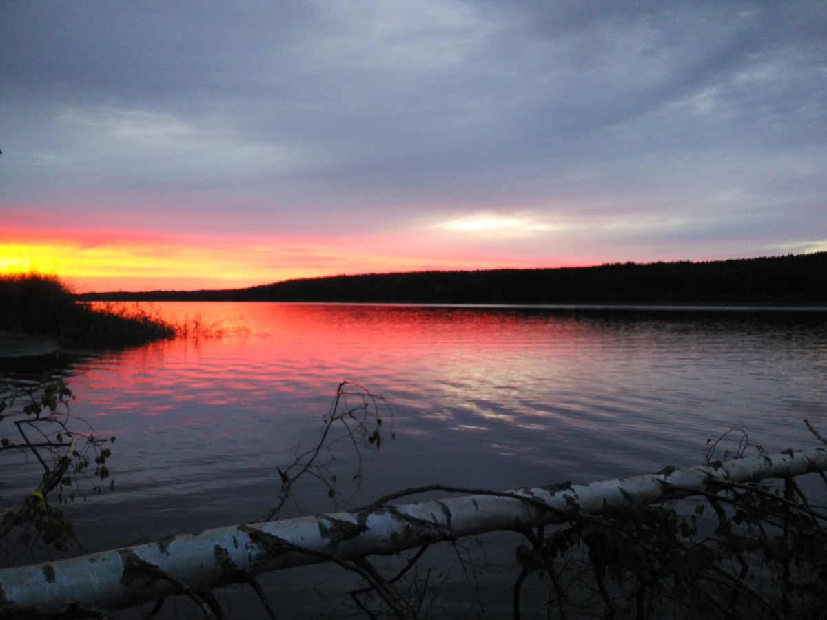 Leningradの天気写真. Lena_Glukhovaの美しい写真による天気予報