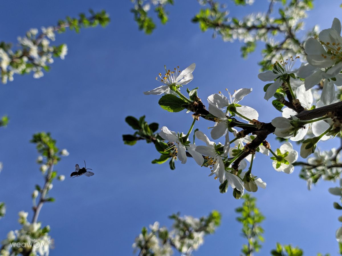 摄影师 aastrelkova，Sarapul Railway Station的天气照片 - Weawow