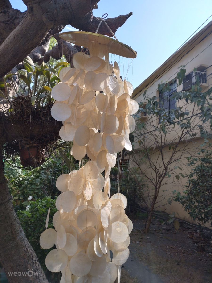 Photographer Wen-ya Huang, Weather Photos in Kaohsiung City - Weawow