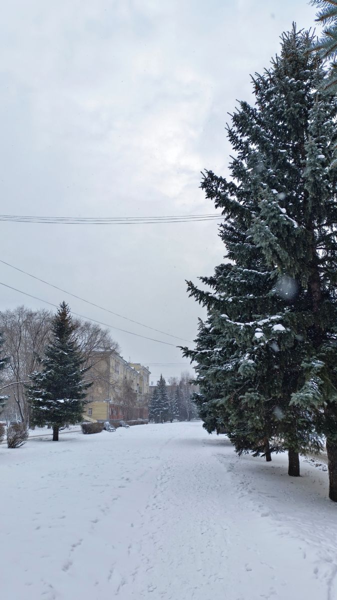 Wettervorhersagen mit schönen Fotos von Михаил Бондаренко