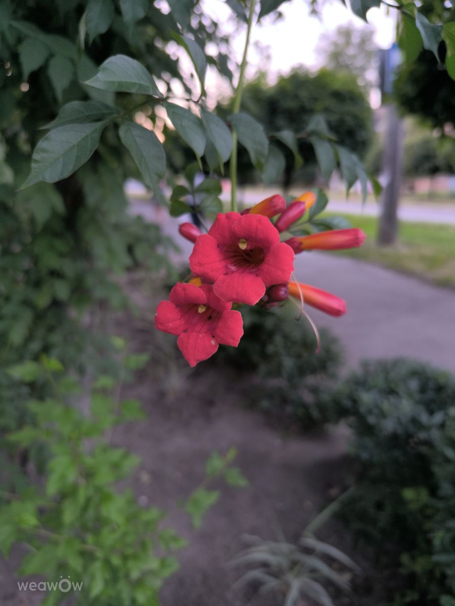 Photos météo à Zaporijjia. Prévisions météo avec de superbes photos de Ivan Barskiy