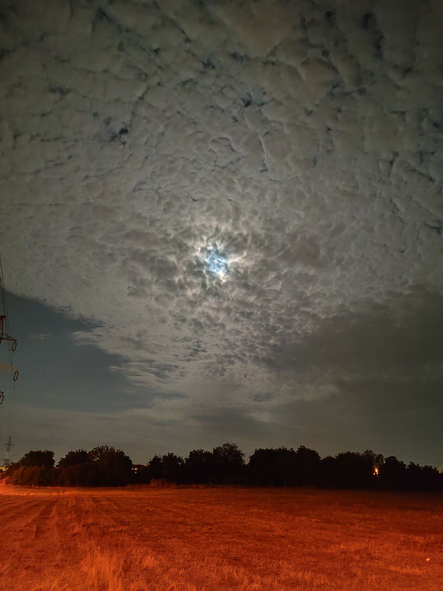Weather Photos in Timișoara. Weather forecasts with beautiful photos by Lupsaman