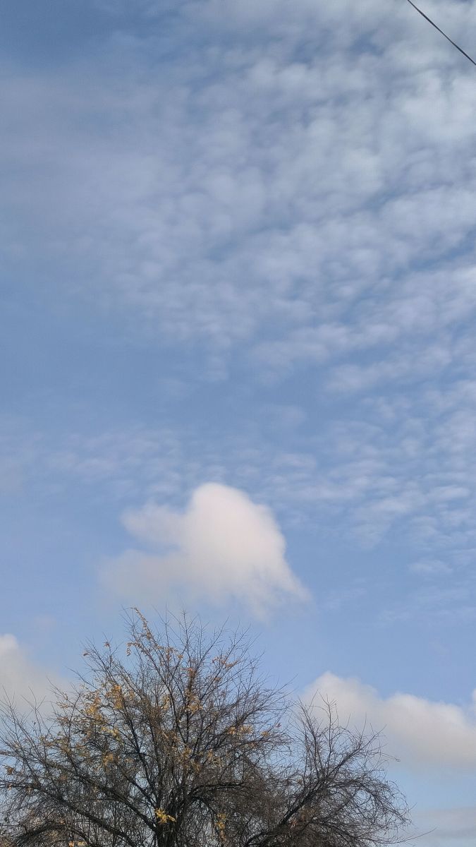 Fotos sobre el clima en Rumanía. Pronósticos del tiempo con hermosas fotos de YanBog