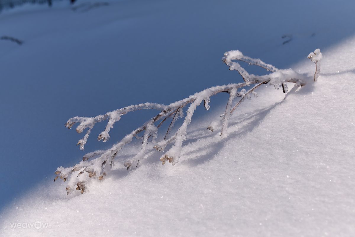 Fotos do tempo em Minsk. Previsões do tempo com lindas fotos de Aleh_Narushevich
