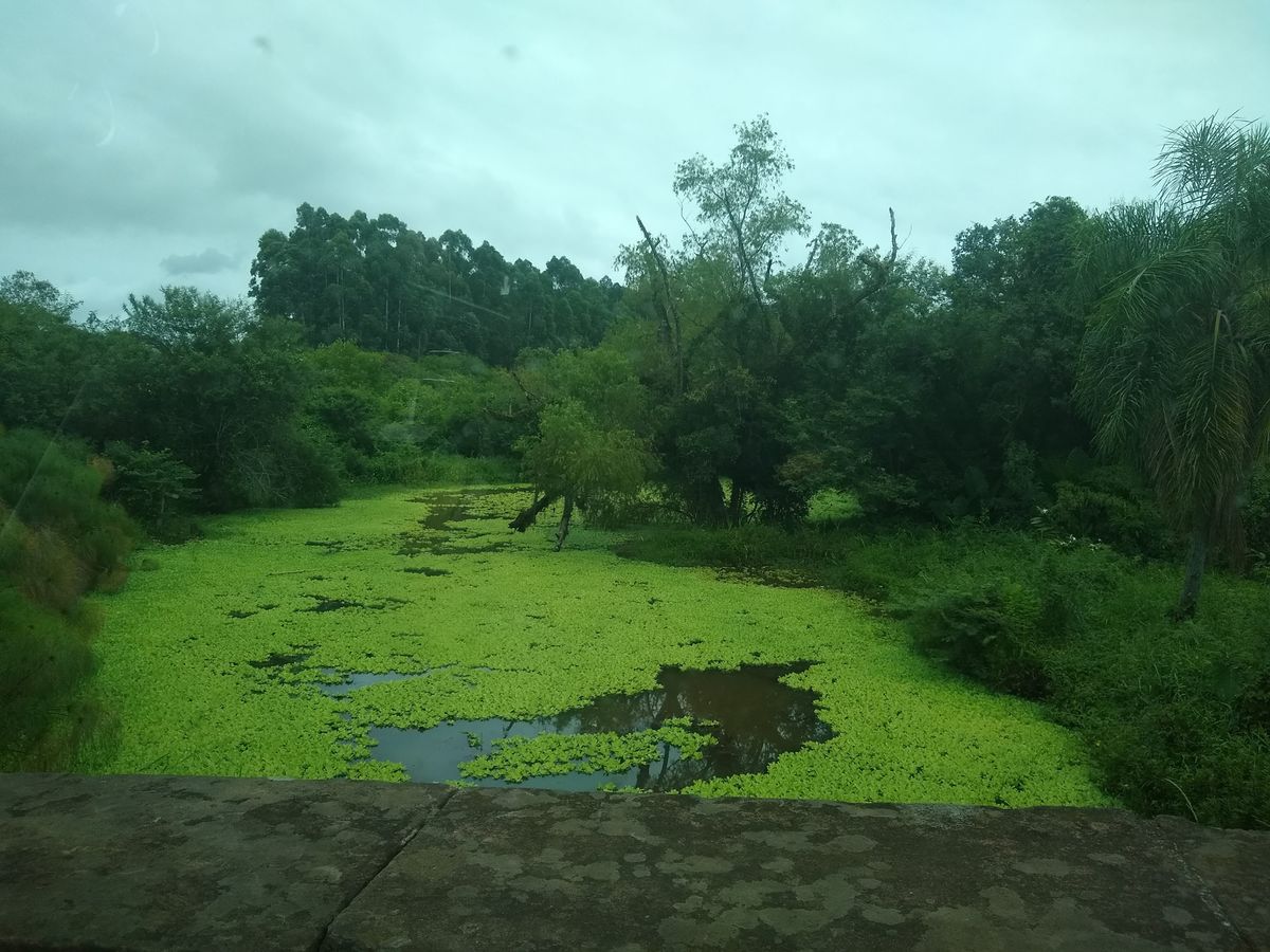 छायाचित्रकार Jossué Jung, Ivoti मध्ये हवामानाचे छायाचित्र - Weawow