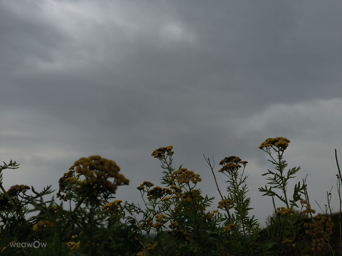 Photos météo à Ryazan’. Prévisions météo avec de superbes photos de Kukamori