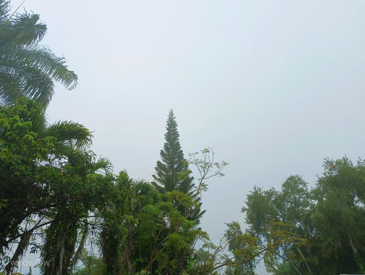Weather forecasts with beautiful photos by lcruz23