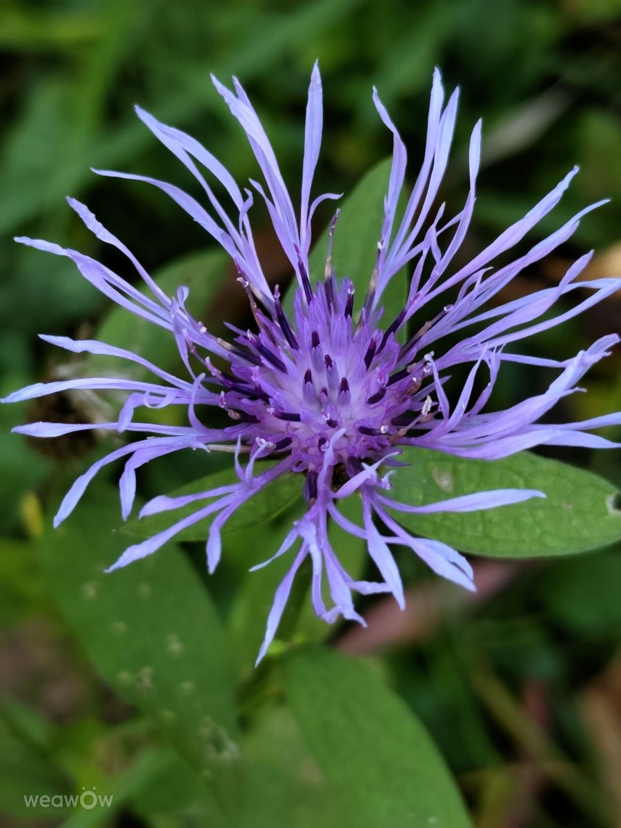 Фотографии Погоды в Словения. Прогнозы погоды с чудесными фотографиями, сделанными Anamarija
