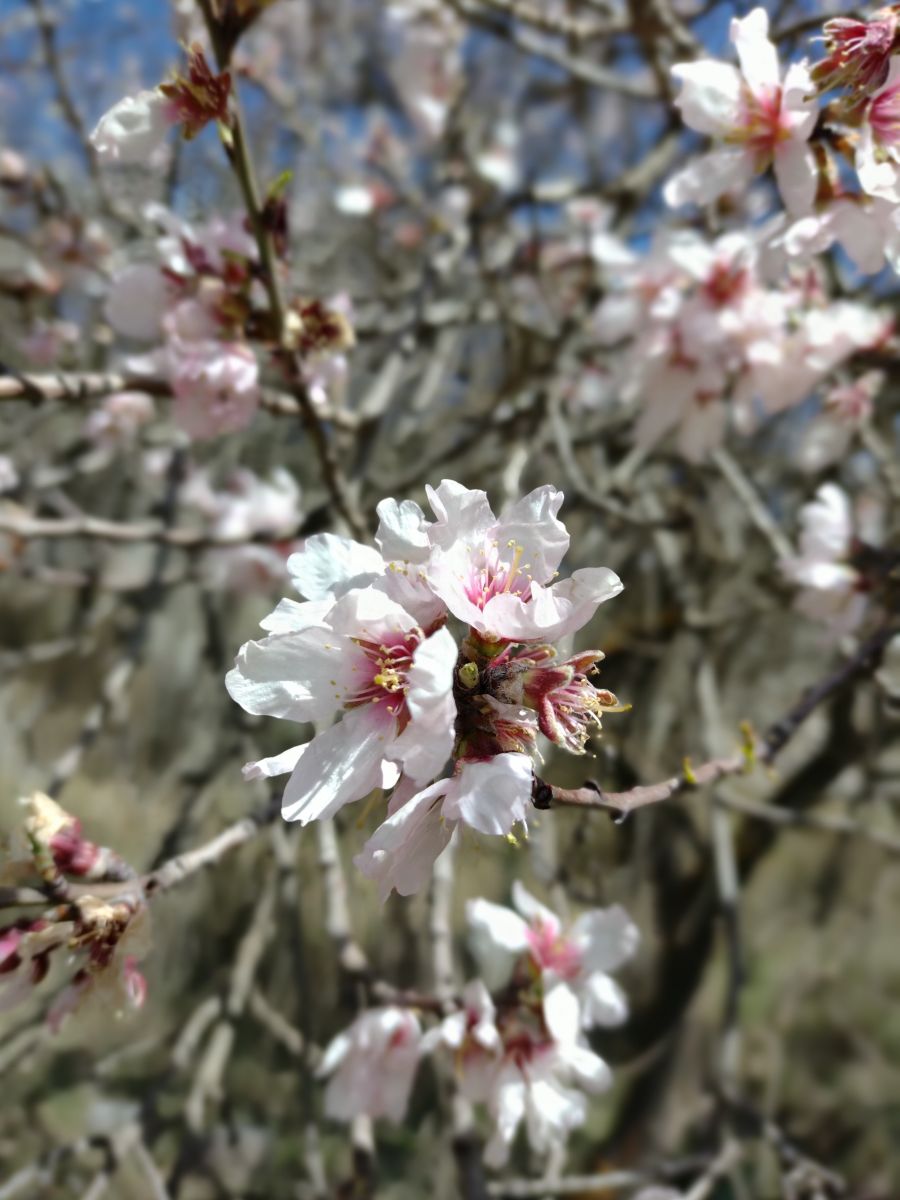 Weather forecasts with beautiful photos by Paracelso