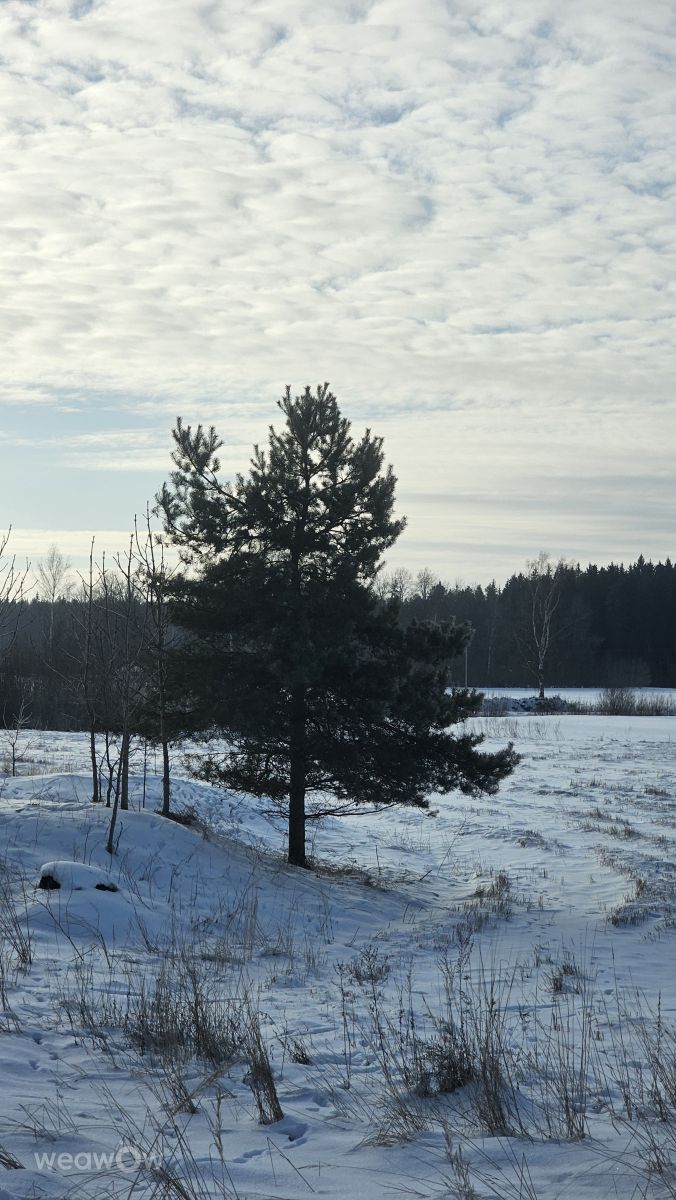 Fotos do tempo em Ogre. Previsões do tempo com lindas fotos de Sandra Bokisha