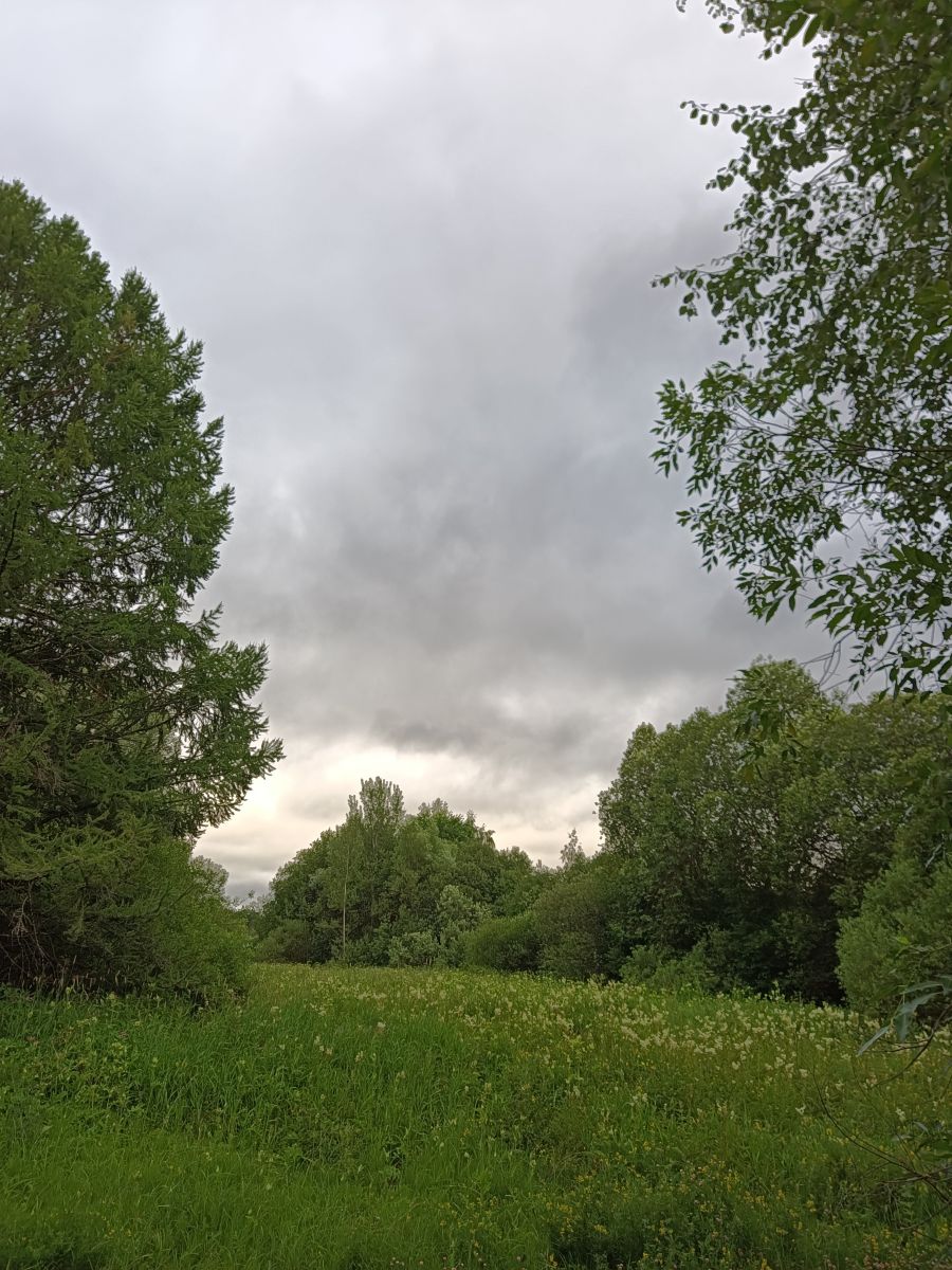 Photographer Amanda_and_Valdemar_Che, Weather Photos in Izmaylovo District - Weawow