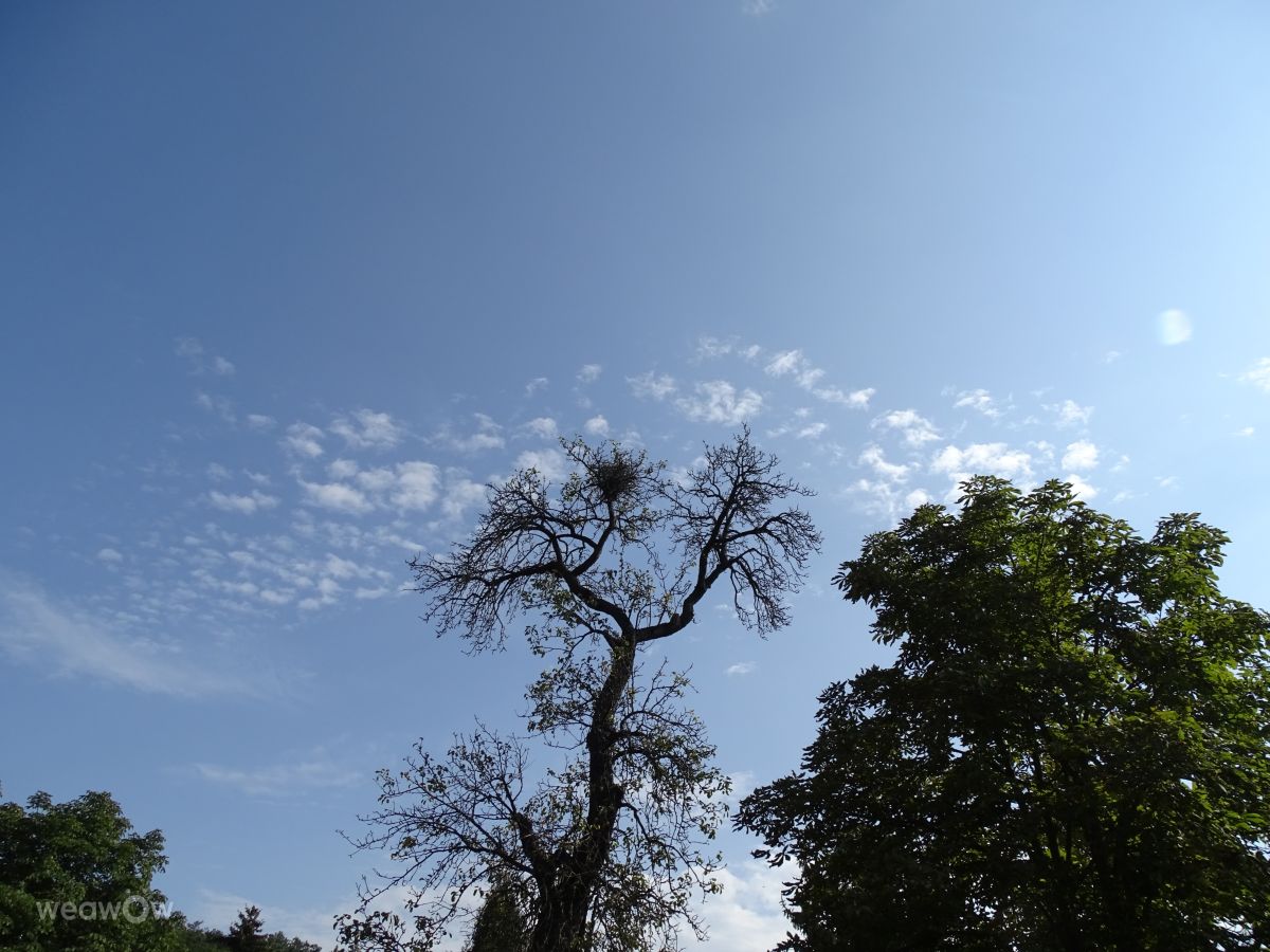 Fotografos Vasek325, Fotos do tempo em Praha 12 - Weawow