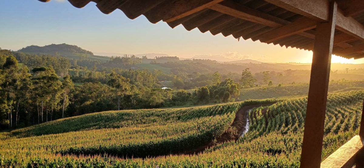 Weather forecasts with beautiful photos by gussilva