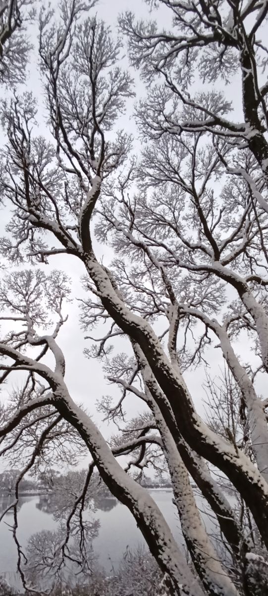 Fotos sobre el clima en Kolpino. Pronósticos del tiempo con hermosas fotos de Lena_Glukhova