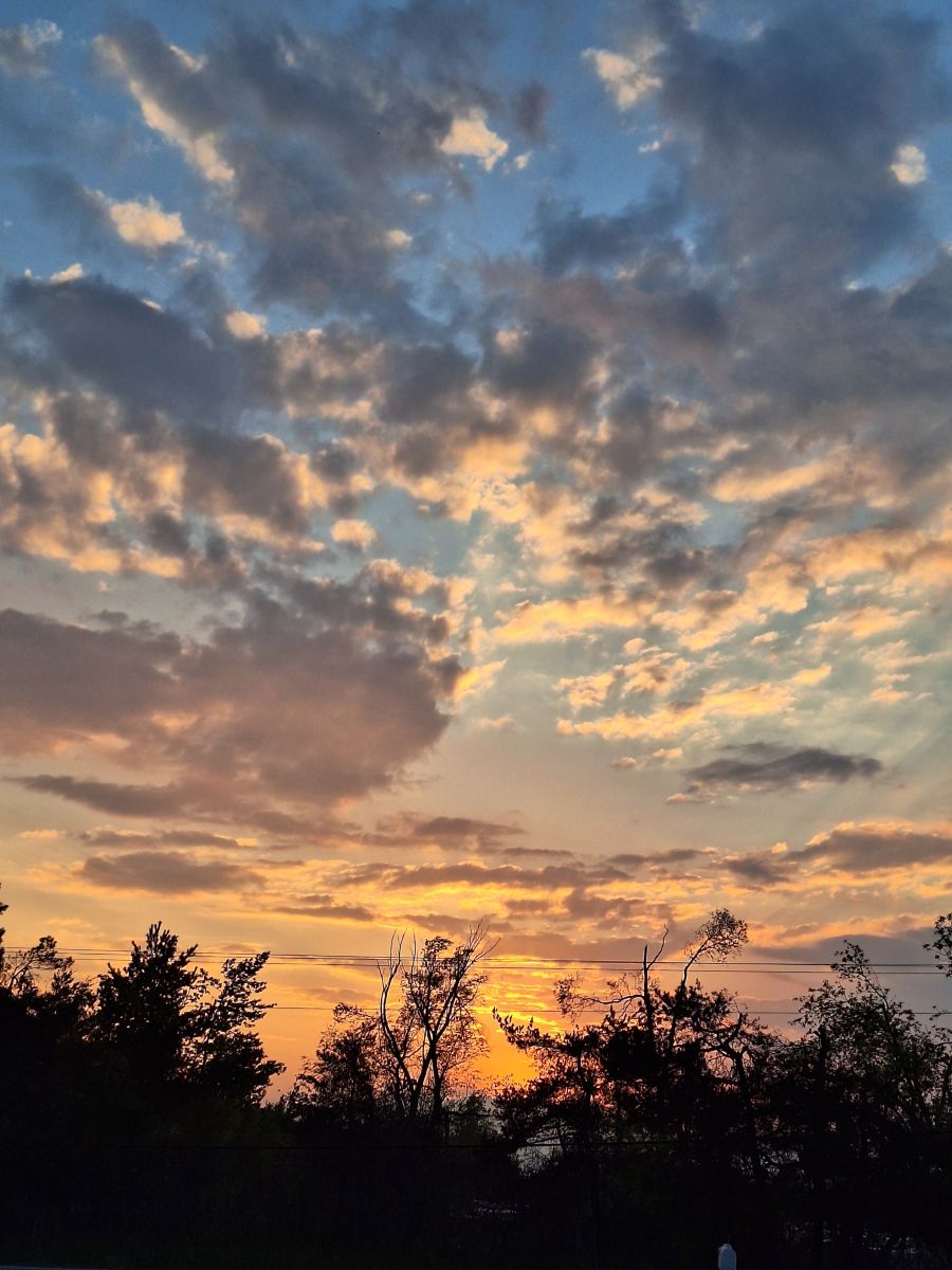 Photographer ccdn0630, Weather Photos in Barrie - Weawow