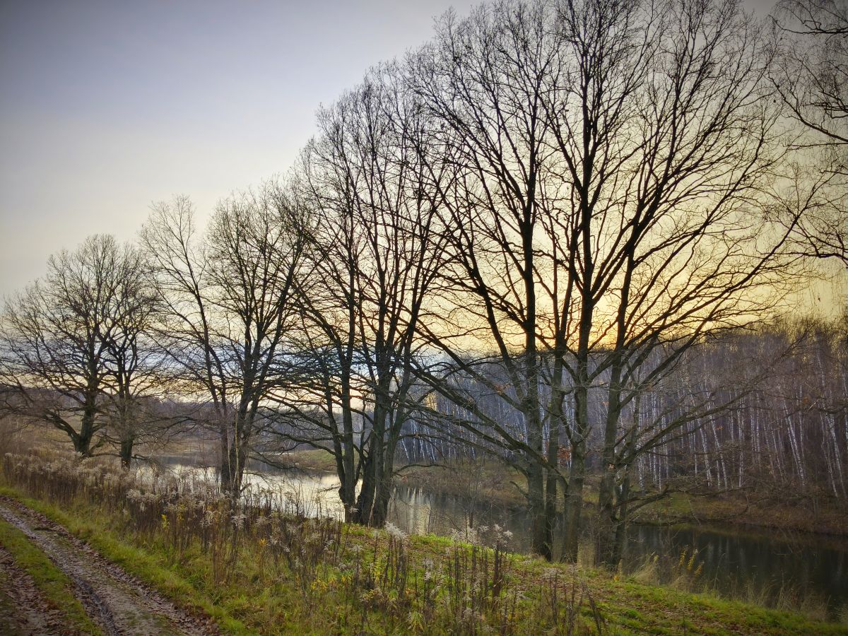 天气预报，带Aleksei精美的照片