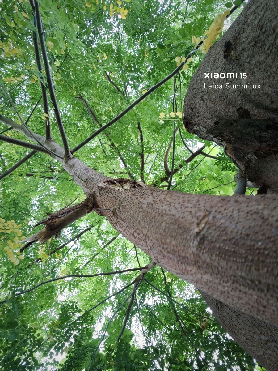 Фотографии Погоды в Индия. Прогнозы погоды с чудесными фотографиями, сделанными KEDAR1924