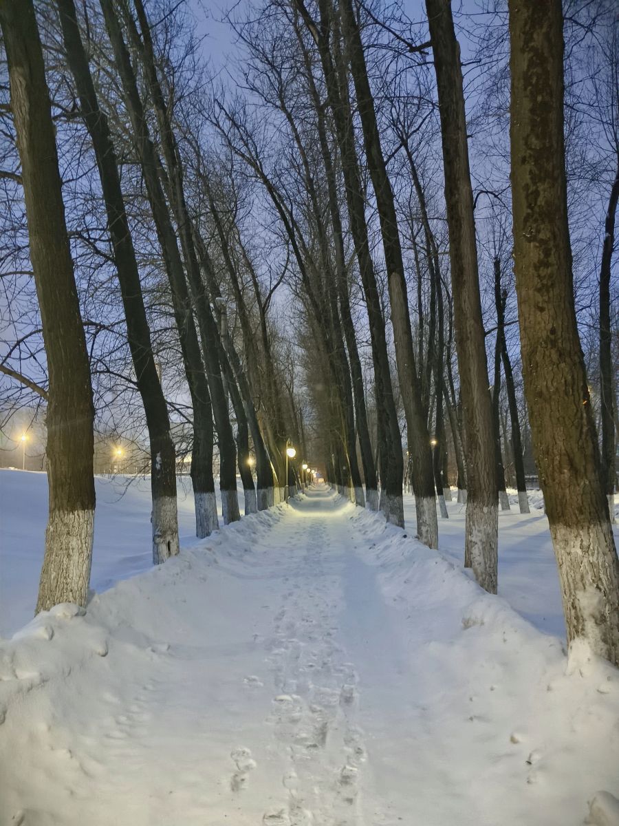 Tula的天气照片. 天气预报，带Aleksei精美的照片