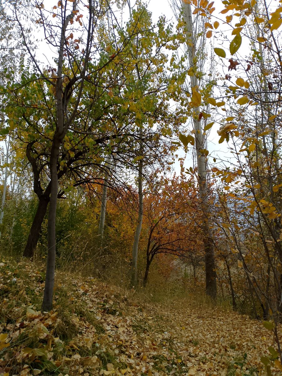 Weather Photos in Tajikistan. Weather forecasts with beautiful photos by Fars