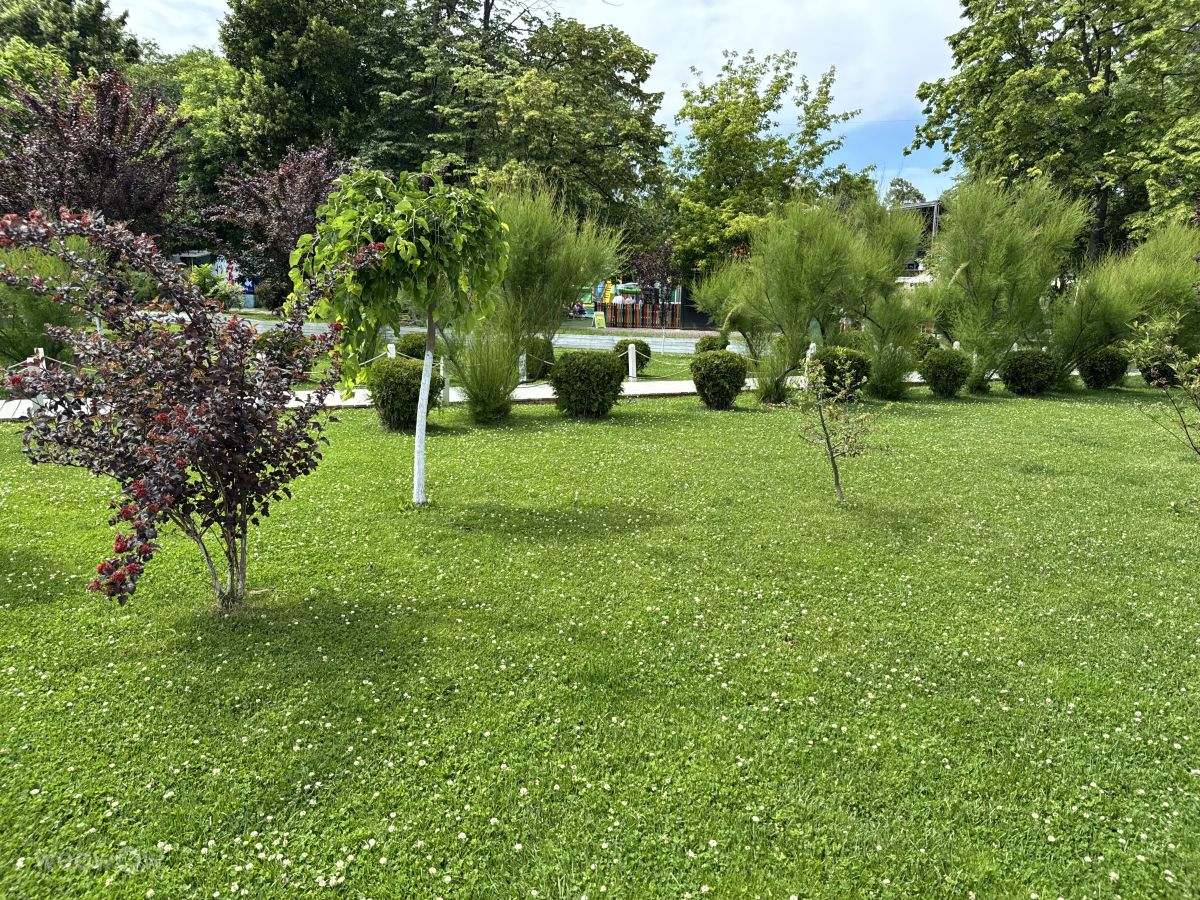 Fotos sobre el clima en Chișinău. Pronósticos del tiempo con hermosas fotos de Sonia