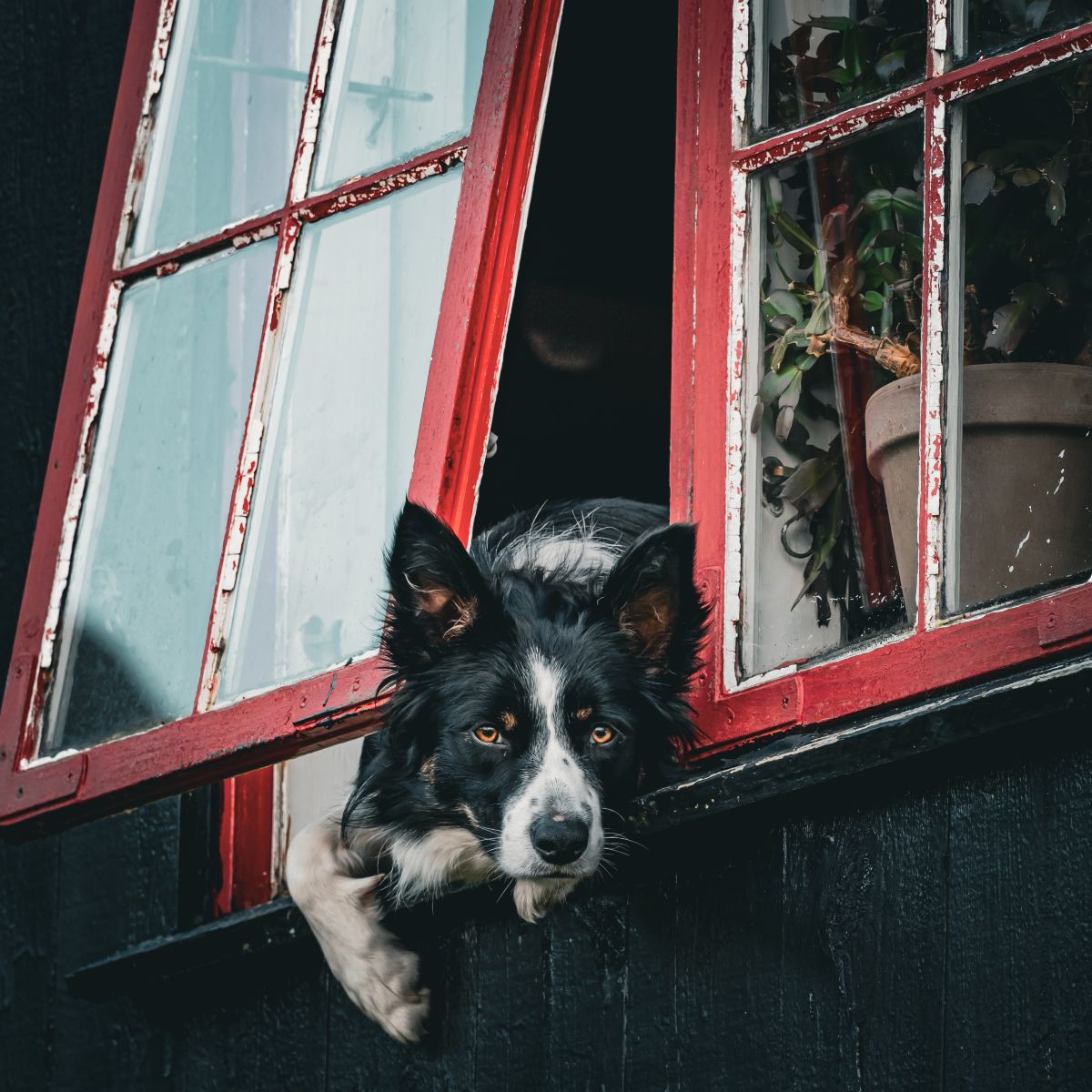 Weather Photos in Faroe Islands. Weather forecasts with beautiful photos by VH-Photos