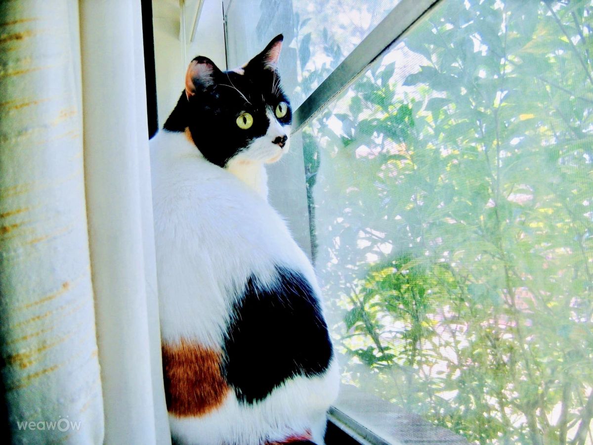 LaPlace的天气照片. 天气预报，带Cajungrl2精美的照片