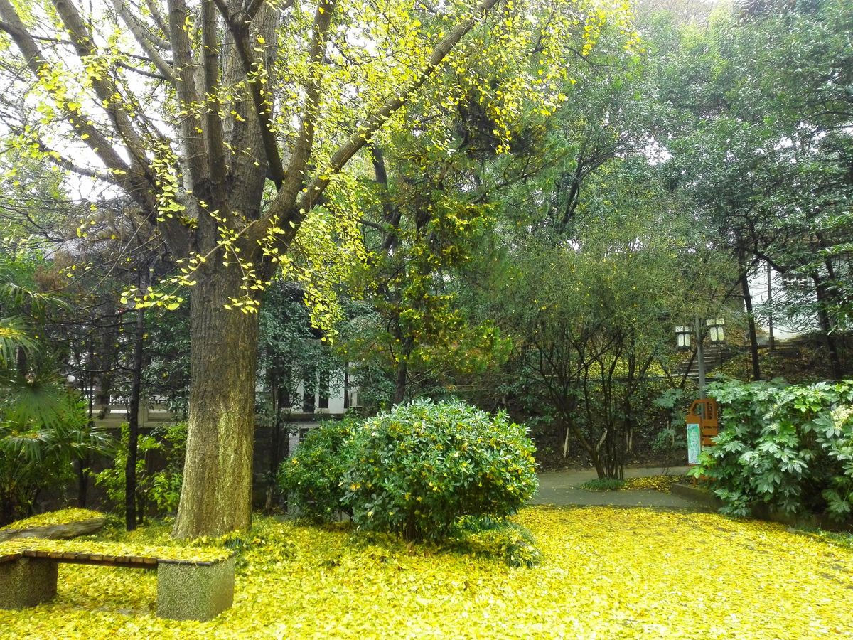 Weather Photos in Jiangsu Sheng. Weather forecasts with beautiful photos by YzqYzq