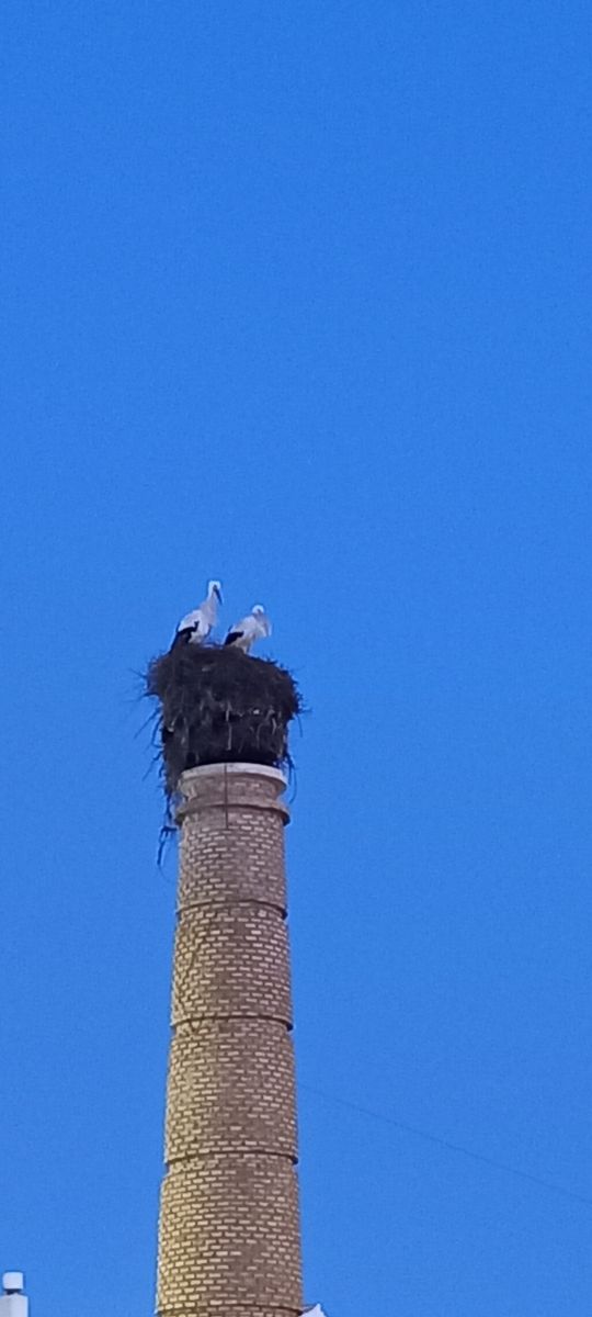 MORの美しい写真による天気予報