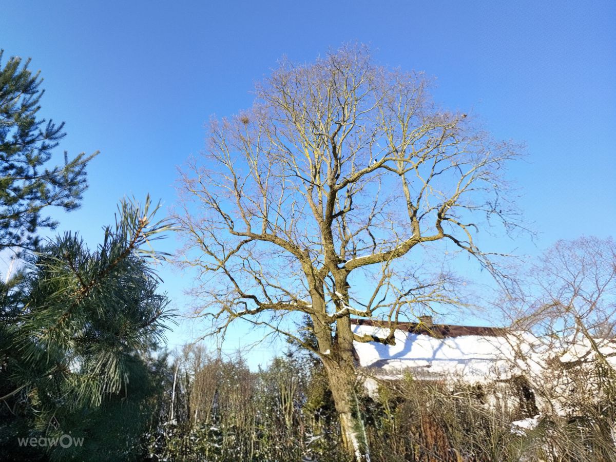 Wetter Photos Woiwodschaft Podlachien. Wettervorhersagen mit schönen Fotos von JacMon
