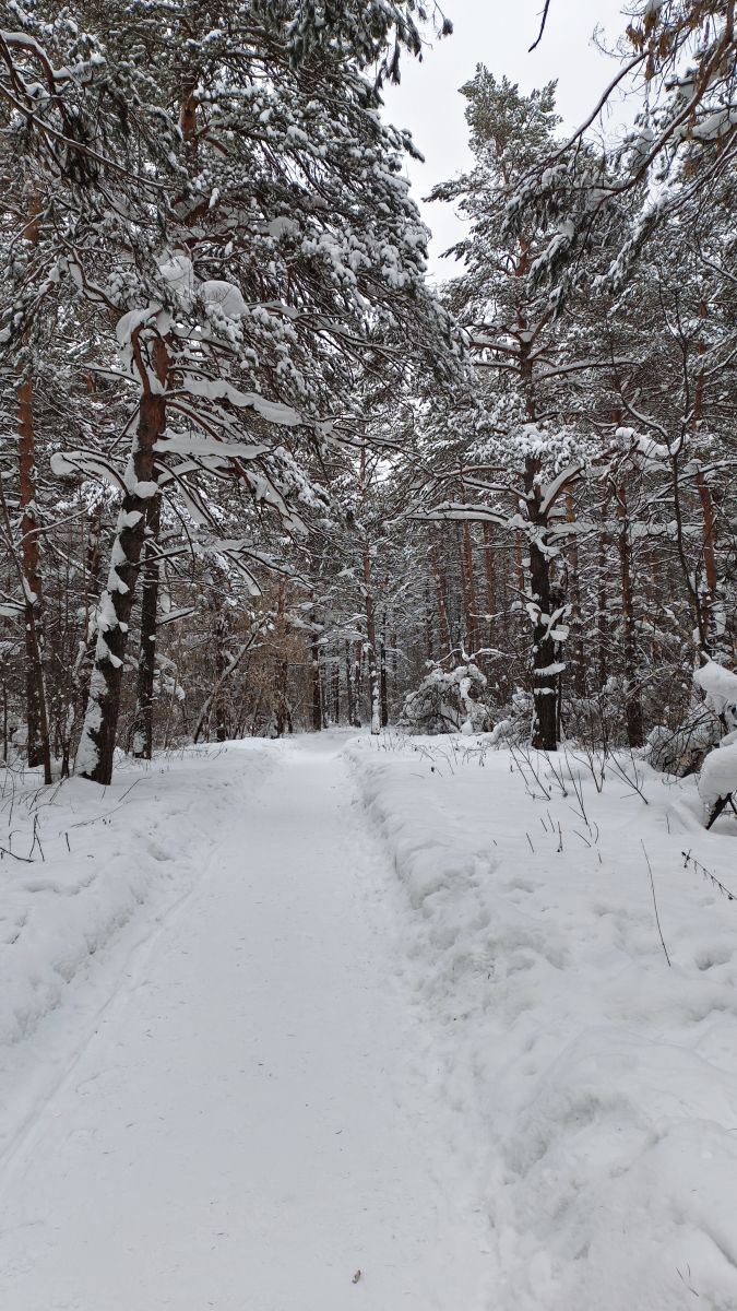 Weather Photos in Kuzbass. Weather forecasts with beautiful photos by Михаил Бондаренко