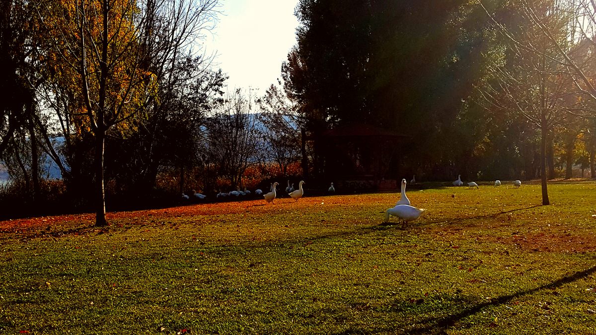 Фотографии Погоды в Кастория. Прогнозы погоды с чудесными фотографиями, сделанными Pantelis Taoultzis