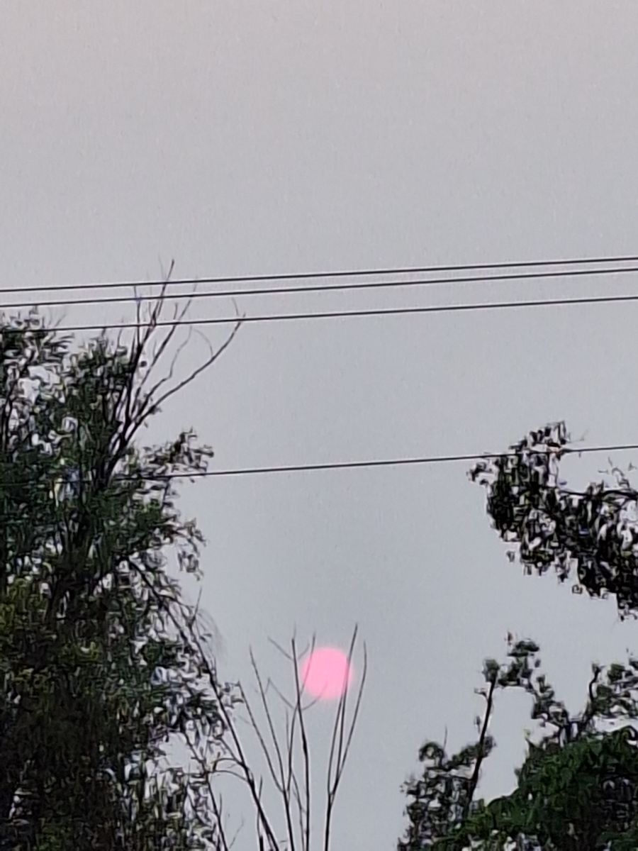 Photographer ccdn0630, Weather Photos in Barrie - Weawow