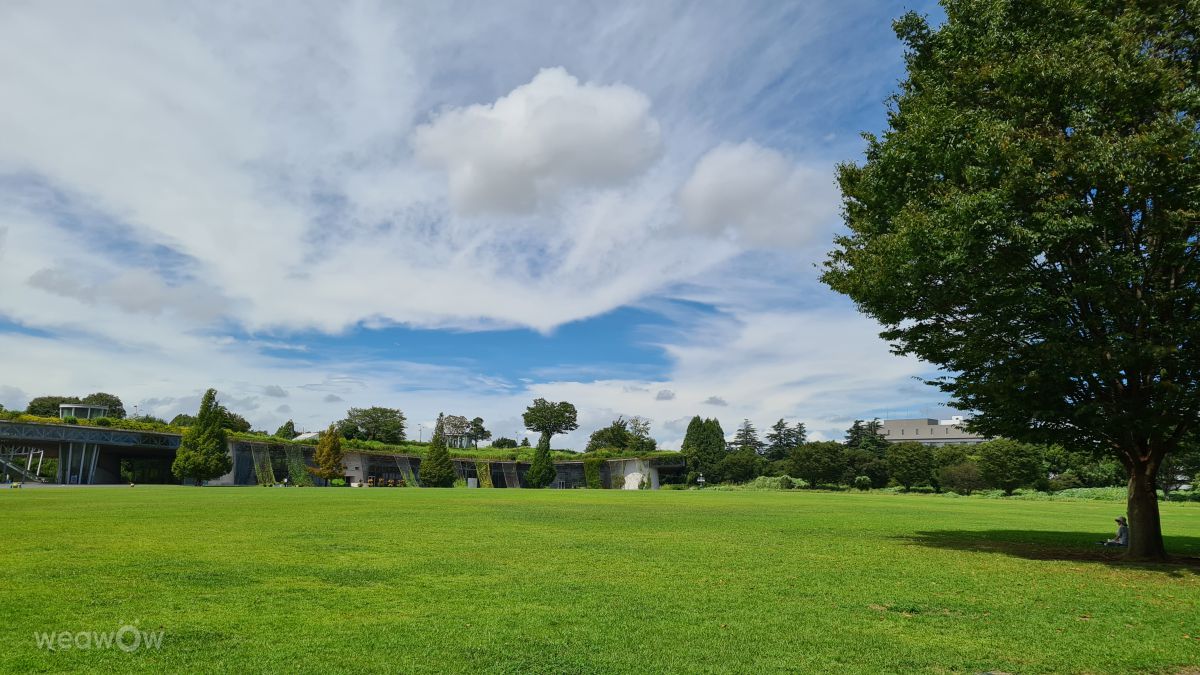 Fotos sobre el clima en Tachikawa-shi. Pronósticos del tiempo con hermosas fotos de weawow