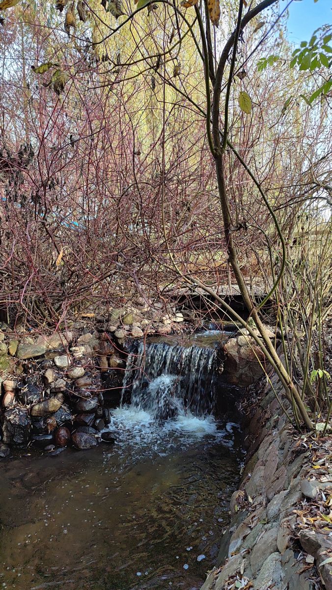 Photographer Romek58, Weather Photos in Województwo Łódzkie - Weawow