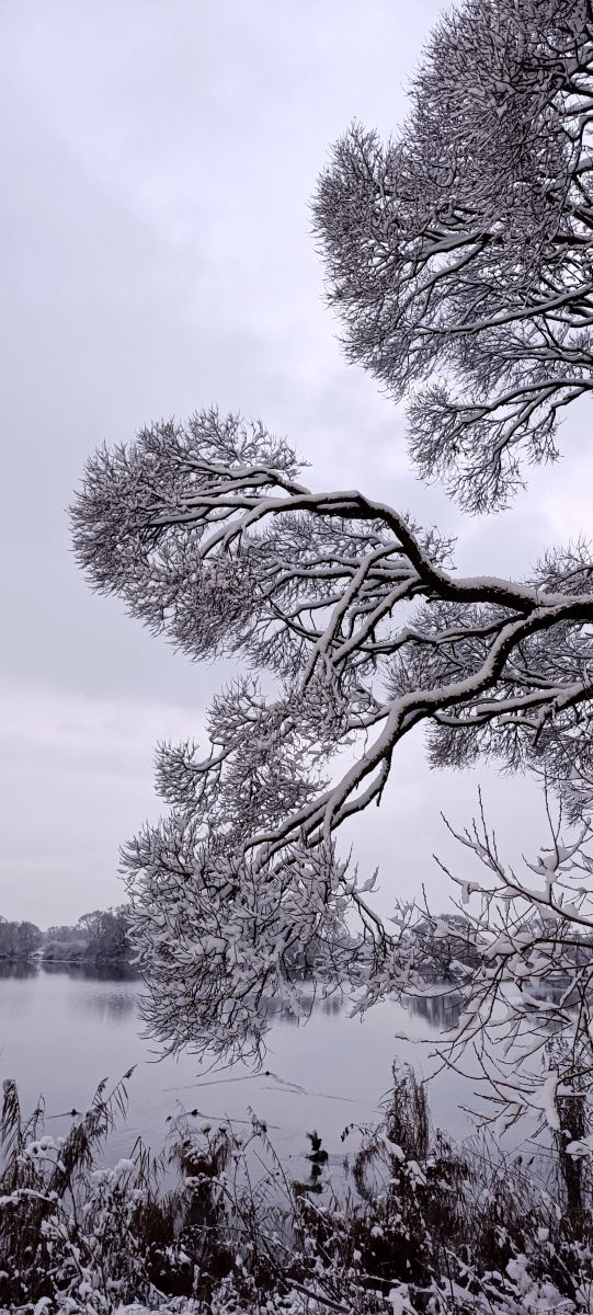 Fotos sobre el clima en Kolpino. Pronósticos del tiempo con hermosas fotos de Lena_Glukhova