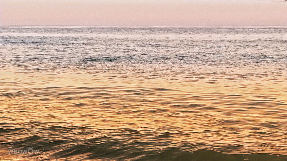 Weather Photos in Marbella. Weather forecasts with beautiful photos by ElCatorce