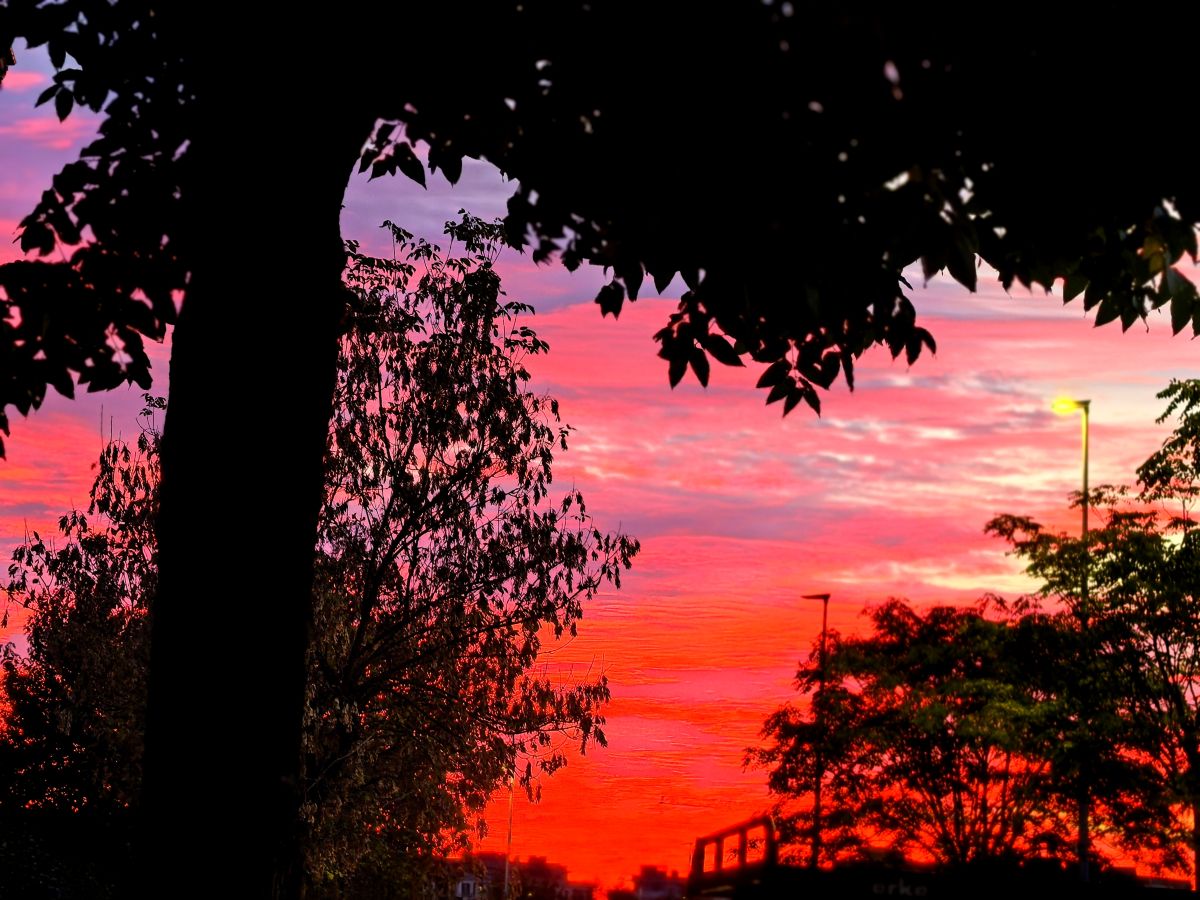 Weather Photos in Santander. Weather forecasts with beautiful photos by Lomarog