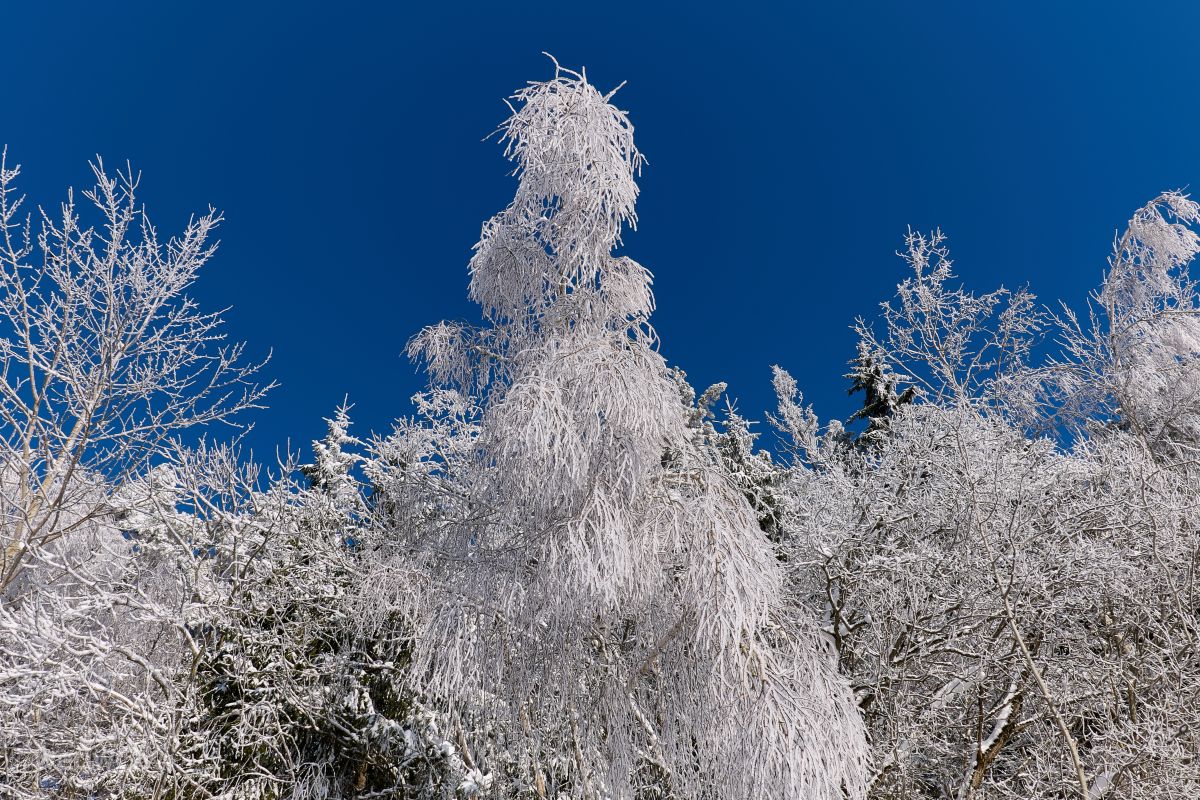Fotos do tempo em Minsk. Previsões do tempo com lindas fotos de Aleh_Narushevich