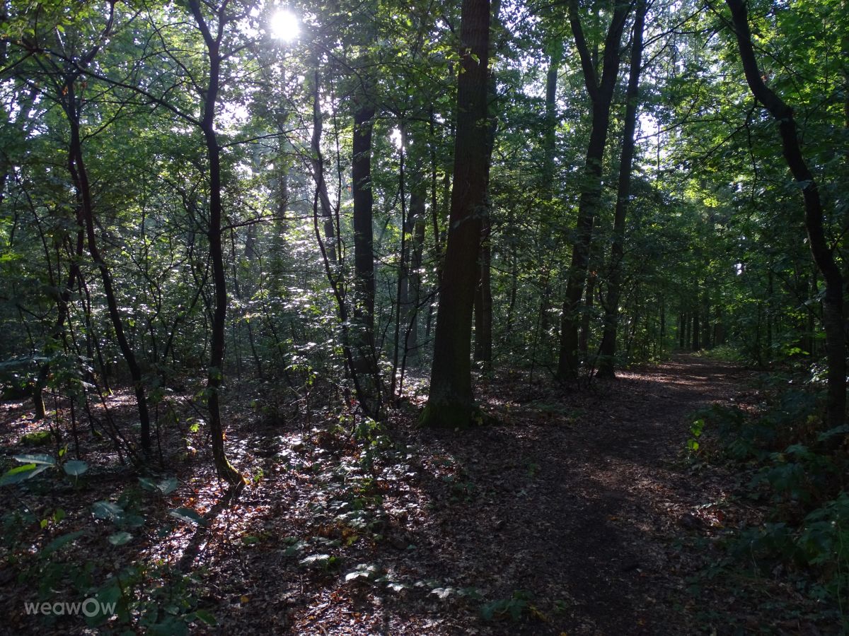 Fotografos Vasek325, Fotos do tempo em Praha 12 - Weawow