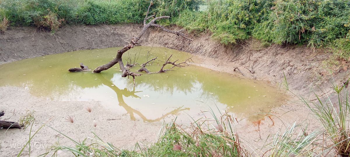 Hình ảnh Thời tiết ở Ấn Độ. Dự báo thời tiết với những bức ảnh đẹp của Imadabattini Bosu Babu