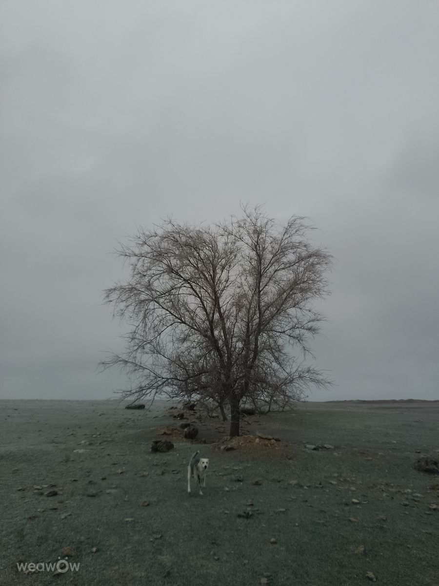 Weather Photos in Mykolayiv. Weather forecasts with beautiful photos by Nsujdc