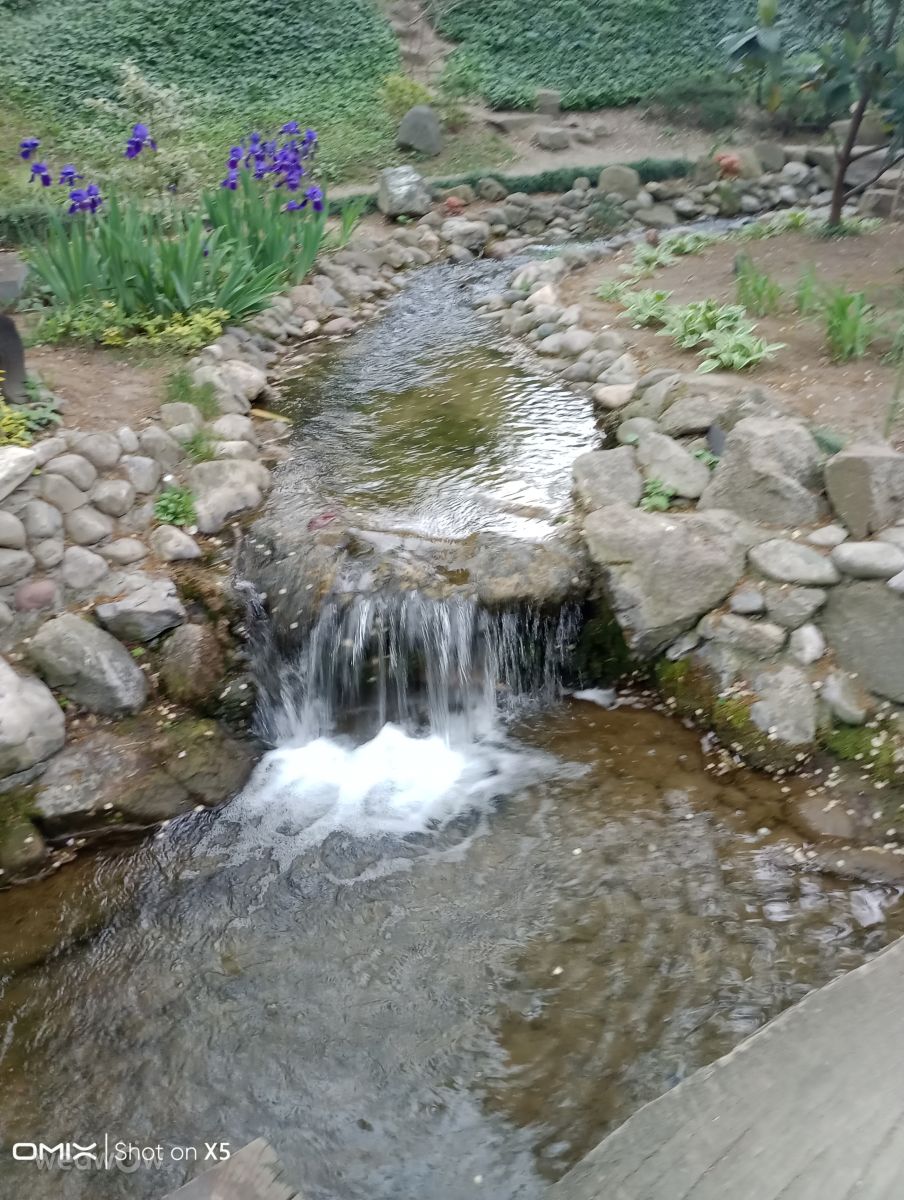 Fotos sobre el clima en Belgrado. Pronósticos del tiempo con hermosas fotos de CAMELOT