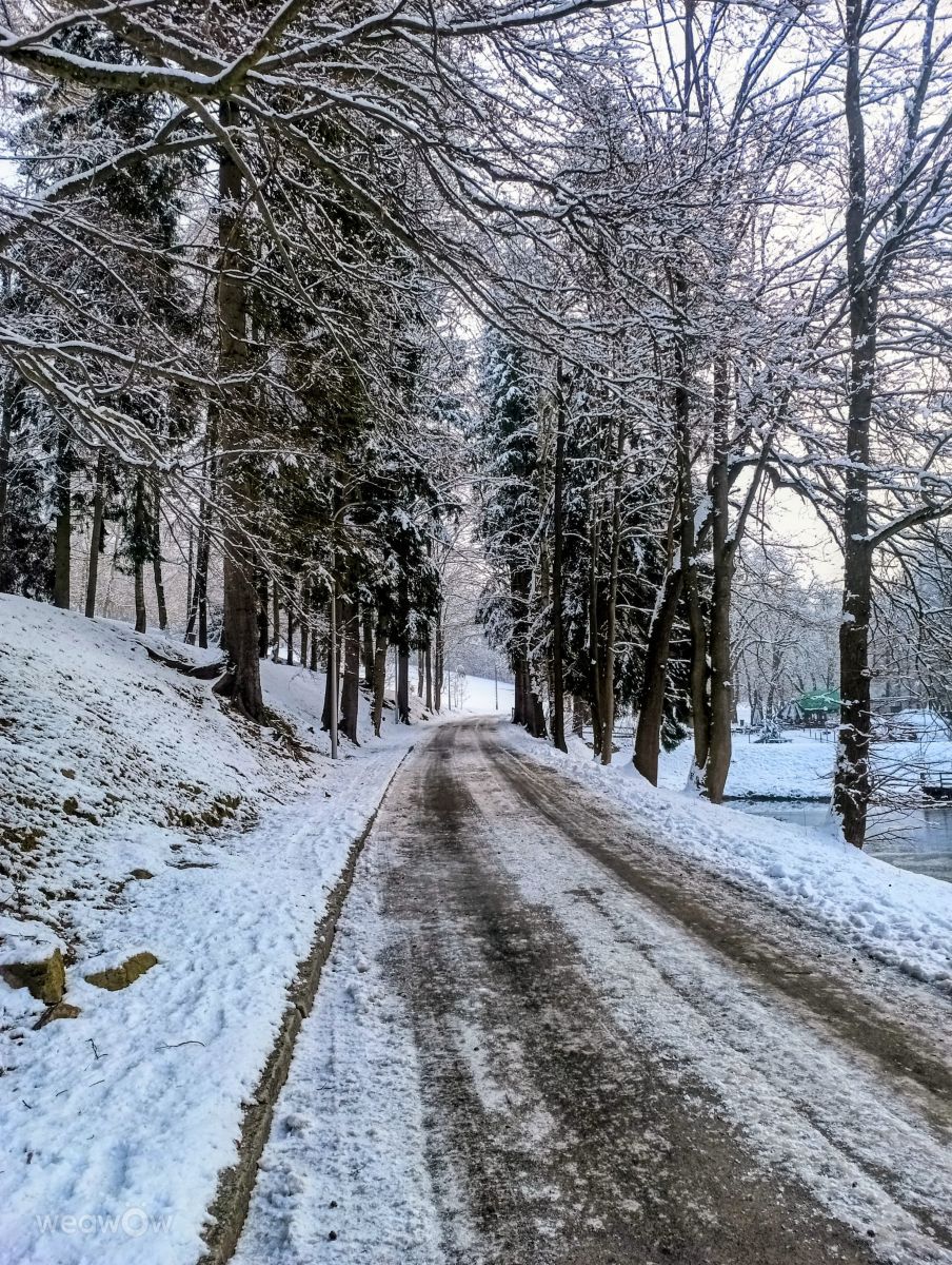 Kripoの美しい写真による天気予報