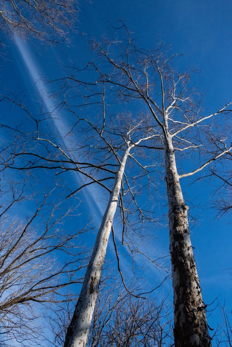 Фотограф krantzjh, Фотографии Погоды в Hanover - Weawow