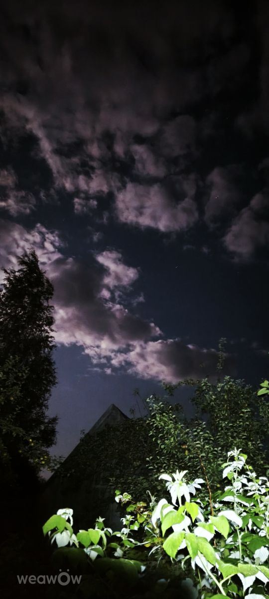 リトアニアの天気写真. Valiukasの美しい写真による天気予報
