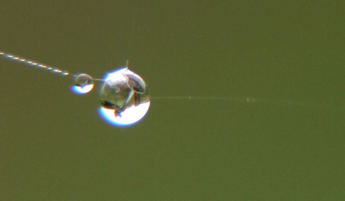 Weather Photos in World. Weather forecasts with beautiful photos by George Popo