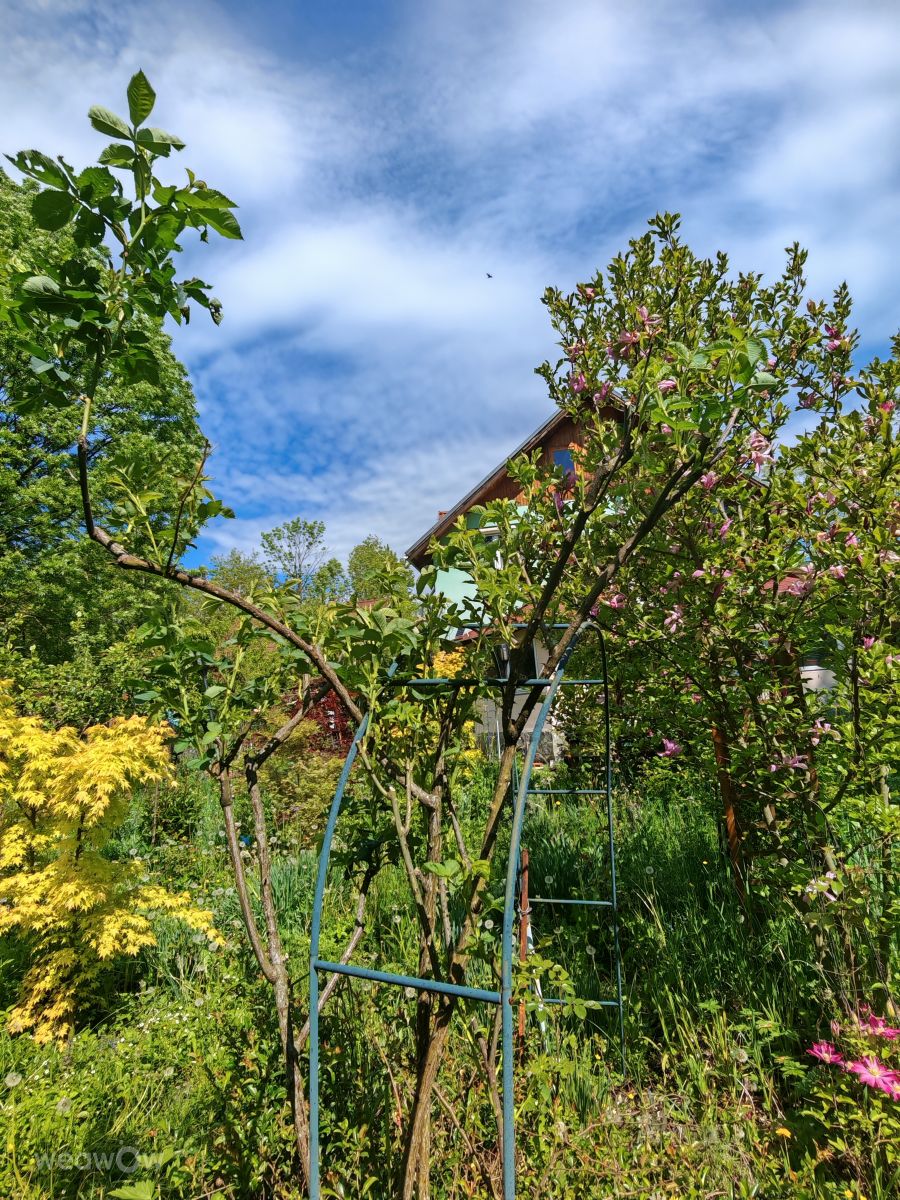 Photos météo à Județ de Prahova. Prévisions météo avec de superbes photos de Bley64