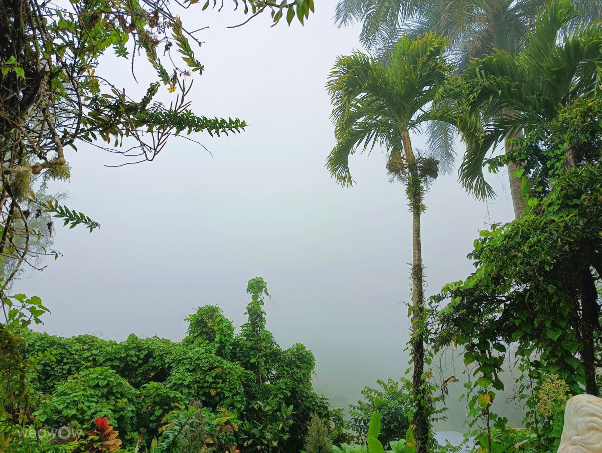 Weather forecasts with beautiful photos by lcruz23