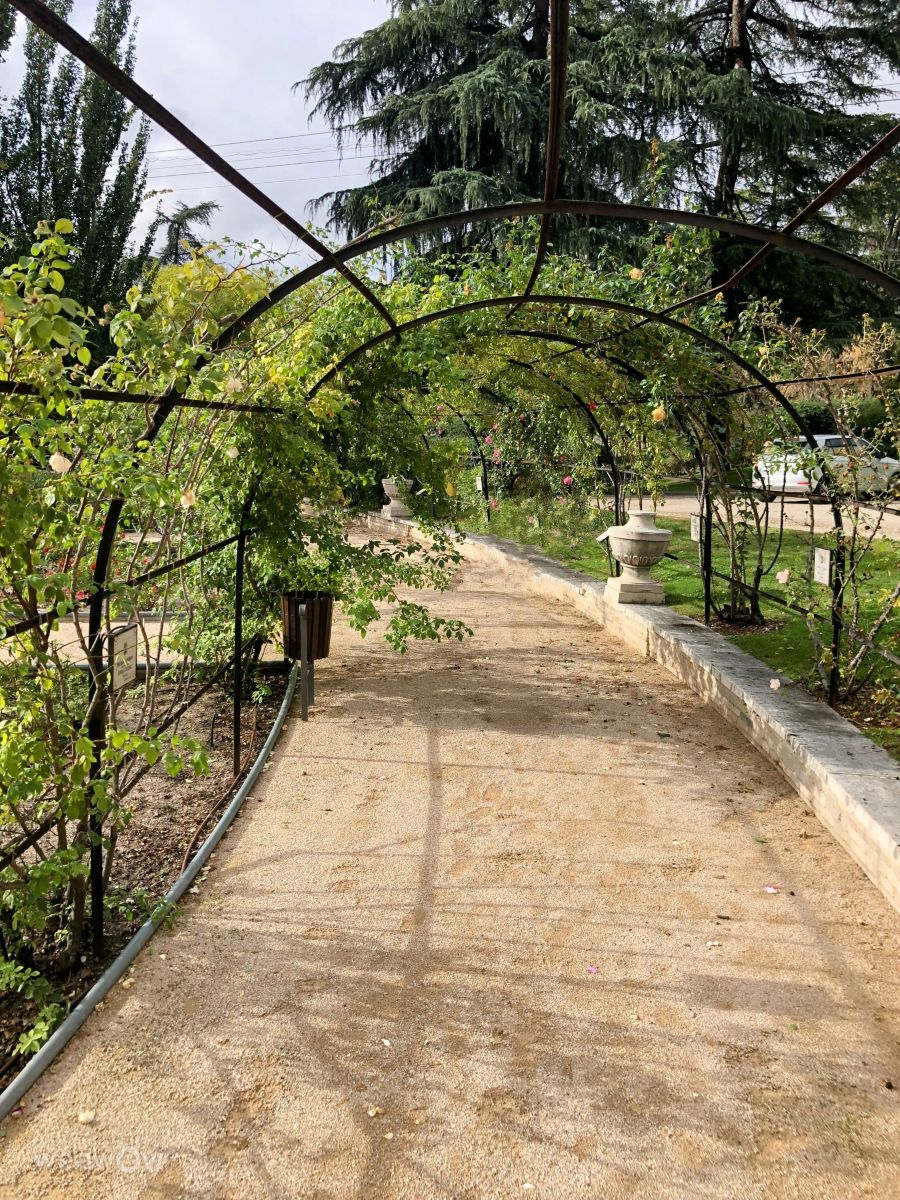 Weather Photos in Madrid. Weather forecasts with beautiful photos by Lulu5523